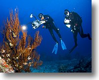 Marc and Black Coral