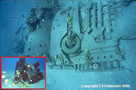 F4F Hellcat underwater